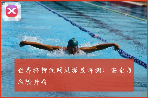世界杯押注网站深度评测：安全与风险并存