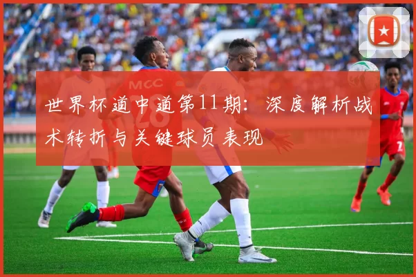 世界杯道中道第11期：深度解析战术转折与关键球员表现