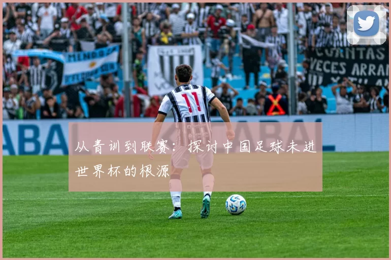 从青训到联赛：探讨中国足球未进世界杯的根源