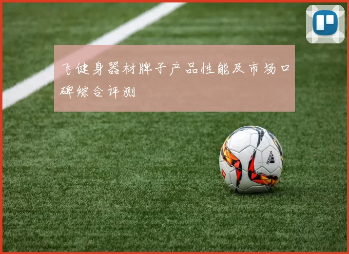 飞健身器材牌子产品性能及市场口碑综合评测