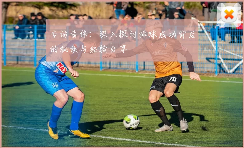 专访黄伟：深入探讨排球成功背后的秘诀与经验分享