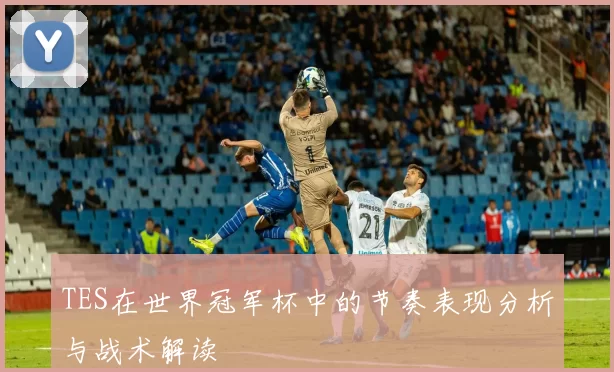 TES在世界冠军杯中的节奏表现分析与战术解读