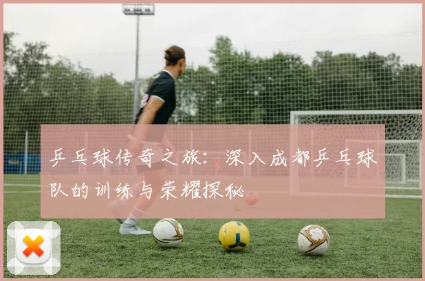 乒乓球传奇之旅:深入成都乒乓球队的训练与荣耀探秘
