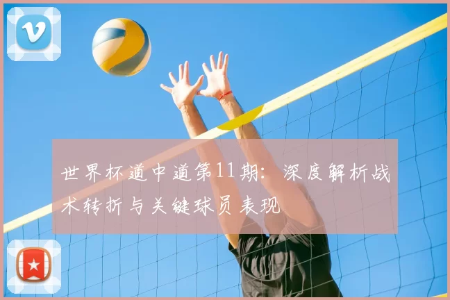 世界杯道中道第11期：深度解析战术转折与关键球员表现
