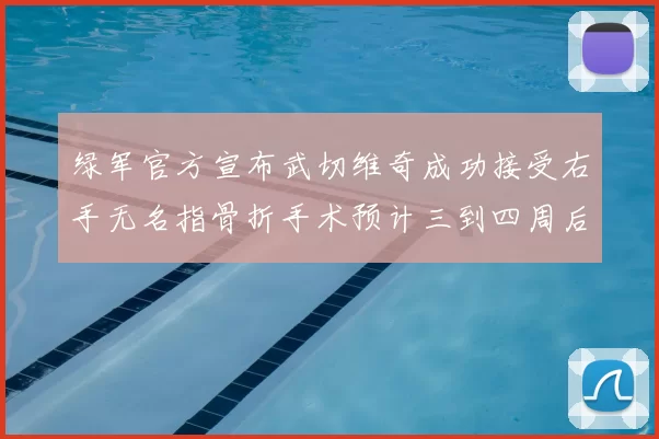 绿军官方宣布武切维奇成功接受右手无名指骨折手术预计三到四周后复查