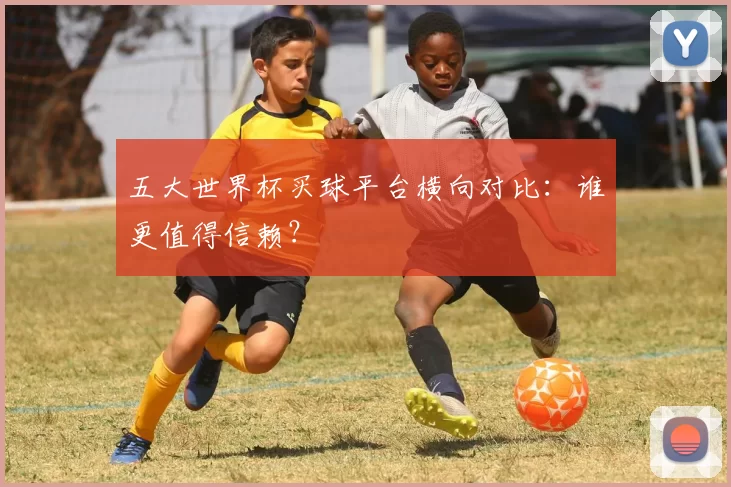 五大世界杯买球平台横向对比:谁更值得信赖?