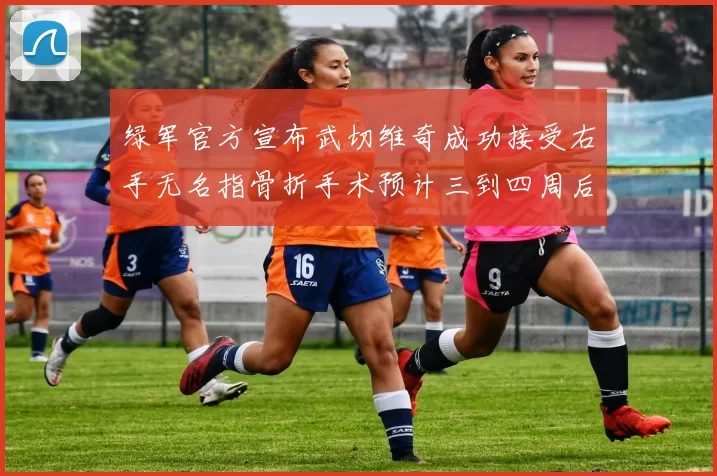 绿军官方宣布武切维奇成功接受右手无名指骨折手术预计三到四周后复查