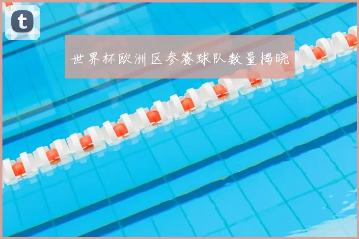 世界杯欧洲区参赛球队数量揭晓
