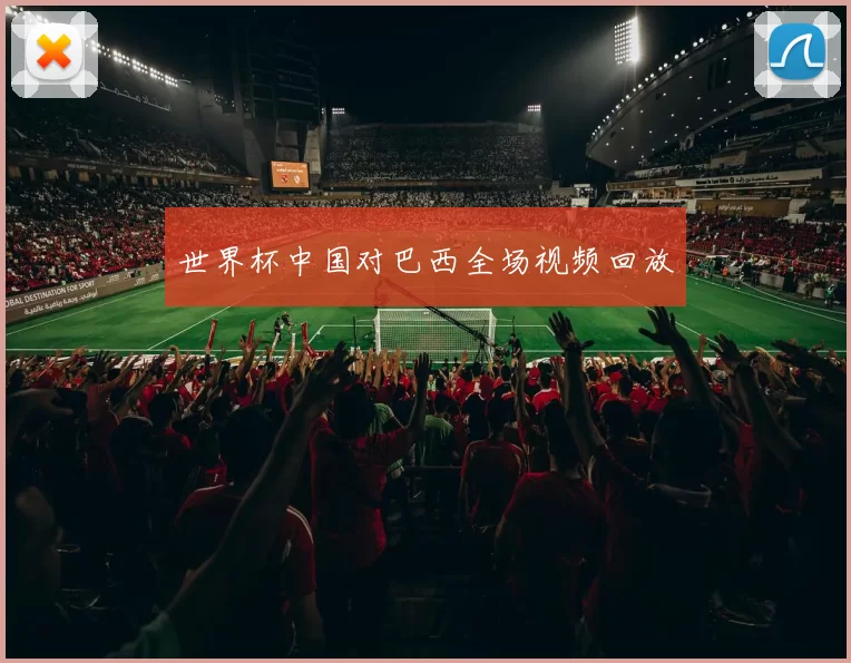 世界杯中国对巴西全场视频回放