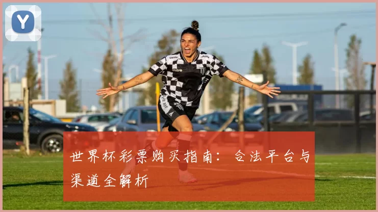 世界杯彩票购买指南：合法平台与渠道全解析